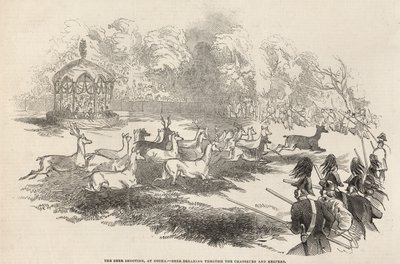 The Deer Shooting at Gotha: Deer breaking through the Chasseurs and Keepers by English School